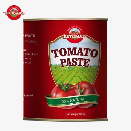 800g di pasta di pomodoro in scatola che rispettano gli standard internazionali di qualità e sicurezza, inclusi ISO HACCP BRC e FDA