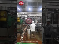 Pasta di pomodoro in scatola