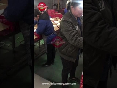 Controllo qualità della pasta di pomodoro in scatola