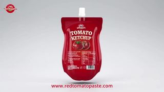 Prezzo diretto dalla fabbrica di ketchup in bustina premium da 100 g